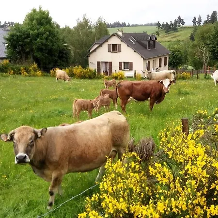 De Charme 6 Ou 8 Personnes En Aubrac Chez Sebastien & Stephanie