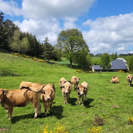De Charme 6 Ou 8 Personnes En Aubrac Chez Sebastien & Stephanie Peyre-en-Aubrac