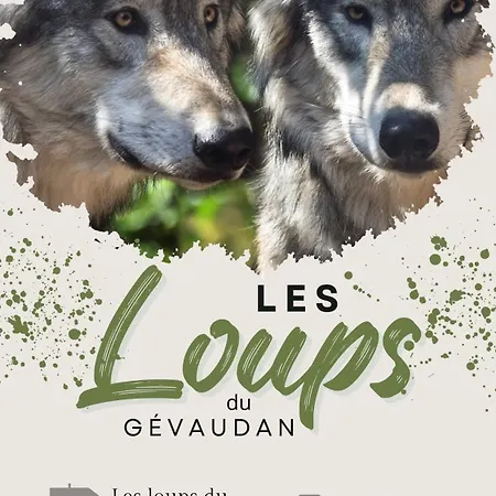 De Charme 6 Ou 8 Personnes En Aubrac Chez Sebastien & Stephanie *