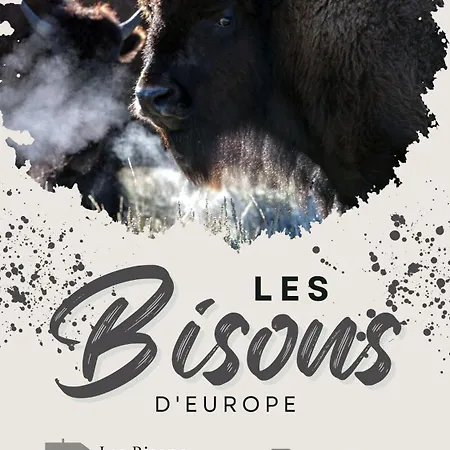 De Charme 6 Ou 8 Personnes En Aubrac Chez Sebastien & Stephanie
