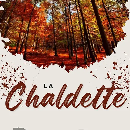 De Charme 6 Ou 8 Personnes En Aubrac Chez Sebastien & Stephanie