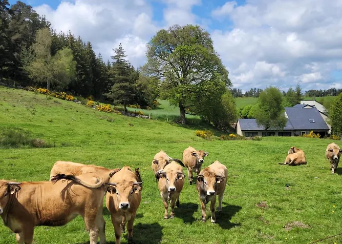 De Charme 6 Ou 8 Personnes En Aubrac Chez Sebastien & Stephanie Peyre-en-Aubrac