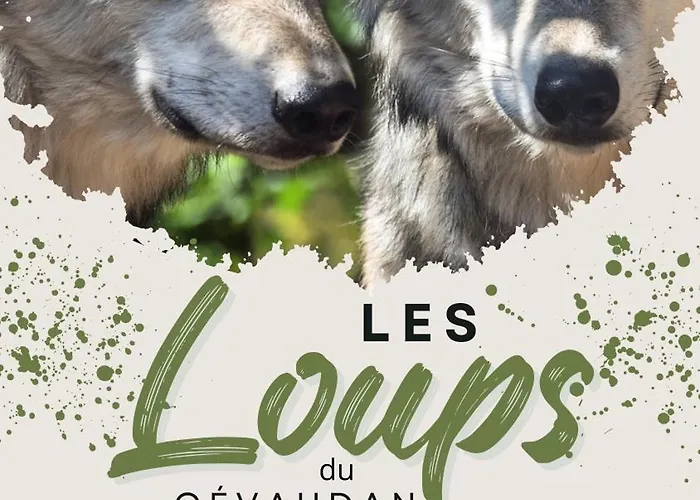 De Charme 6 Ou 8 Personnes En Aubrac Chez Sebastien & Stephanie *