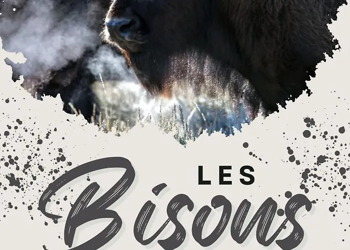 De Charme 6 Ou 8 Personnes En Aubrac Chez Sebastien & Stephanie