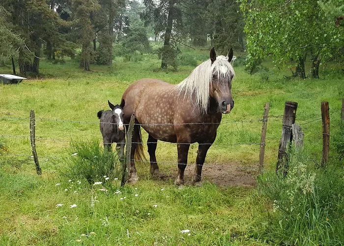 De Charme 6 Ou 8 Personnes En Aubrac Chez Sebastien & Stephanie Casa de Férias *