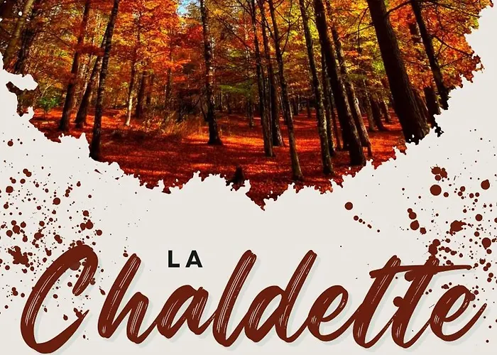 De Charme 6 Ou 8 Personnes En Aubrac Chez Sebastien & Stephanie